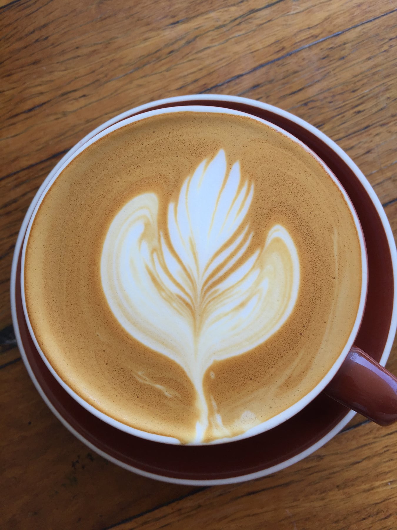 Amy’s Burleigh Bloom, a espresso coffee by Amy in Burleigh Waters, QLD
